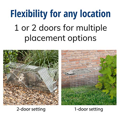 Havahart Large 2 Door Humane Catch and Release Live Animal Trap for Armadillos, Beavers, Bobcats, Small Dogs, Cats, Foxes, Groundhogs, Nutria, Opossums, Raccoons, Live Catch Trap for Stray Dogs 1045SR