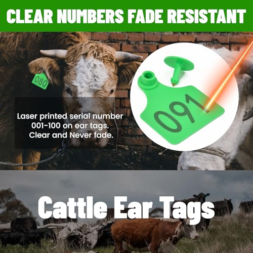 100 Numbered Cattle Ear Tags Large Animal Identification Tags TPU Livestock Ear Tag for Cattle Cow Horse Hog Pig Goat Sheep Applicator Kit (001-100 Green)