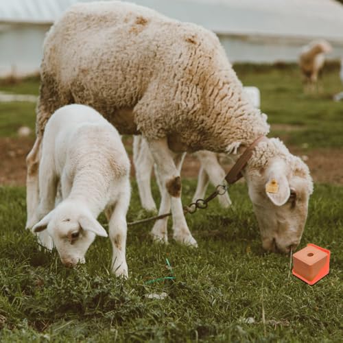 Toddmomy Salt Block Holder for Livestock Thickened Salt Blocks Box for Cattle Sheep Goats Lick Mount and Feeding Tray Easy to Assemble Farm Feeding Accessory 6.69 X 6.69 X 5.70 in