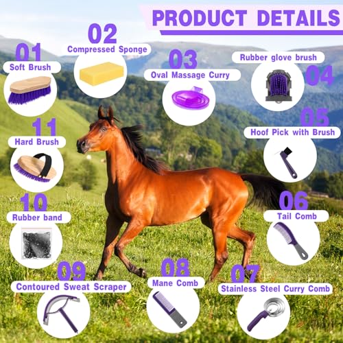Abbylike 12 Pieces Horse Grooming Kit Racing Festival Tack Room Supplies Horse Brush Sets Equine Care Cleaning Kit Shedding Grooming Massaging Tools(Gray and Purple) - color: Gray and Purple