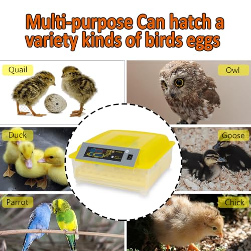 PIT66 (48 Eggs) Fully Automatic Self-energizing Incubator for Chickens, Ducks, Geese and Other Poultry &Quail, Pigeons and Other Birds