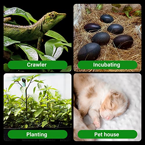HealSmart Reptile Heat Lamp Bulb Ceramic Heat Emitter 150W No Light Emitting Brooder Coop Heater for Amphibian Pet & Incubating Chicken, White - color: 2 Pcs (White), size: 150 Watts New