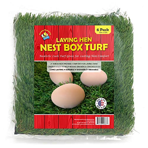 Cackle Hatchery Laying Hen Nest Box Turf - Easy to Clean & Lasts for Years in Chicken Nesting Boxes (6 Pack)
