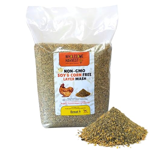 Non-GMO Soy Free-Corn Free Whole Grain Layer Mash (10 lb) - size: 10 Pound (Pack of 1), style: Layer Mash
