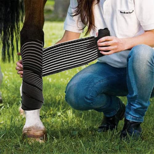 Elastic Polo Leg Wrap Compression Bandage for Horses, Dogs, Cats, Sheep, Cow, Dog Wound Care, Vet Wrap - color: Black