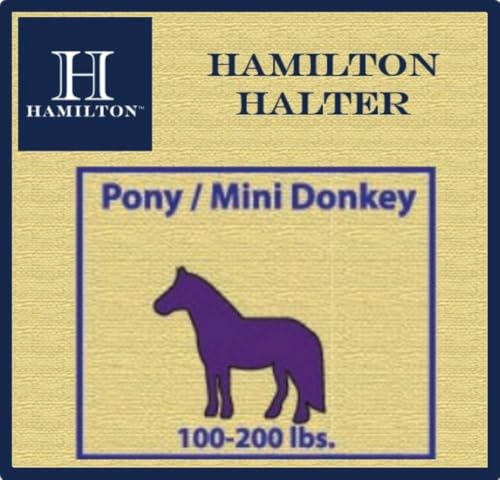 Hamilton Quality Adjustable Horse Halter, 100-200 lbs, Blue | Premium Quality 3/4" Triple Ply Nylon, Pony/Mini Donkey, Adjustable Chin Strap, Rolled Throat, Brass Plated Hardware - color: Blue, size: Pony, 100-200lbs