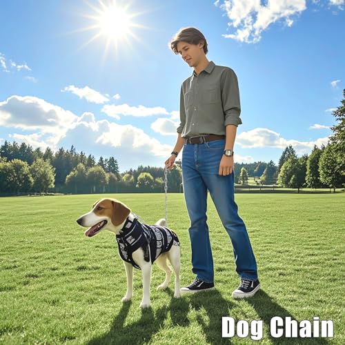 304 Stainless Steel Chain Heavy Duty Outdoor | 6.5ft 13ft Small Large Light Metal Link Chain for Home Camping Hanging etc - size: 5/32in-13ft