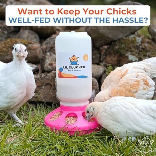 Lil'Clucker 1L Chick Feeder, 1.5L Chicken Waterer - No Leakage Chick Feeder and Waterer Kit, Durable Chicken Water Feeder, Chicken Feeder and Waterer Set, Poultry Waterer (Pink) - color: Pink