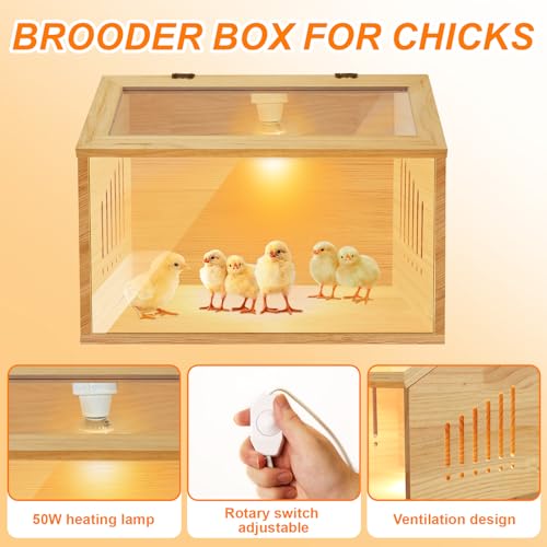 Brooder Box for Chicks，Indoor Smart Wooden Poultry Brooder with Heater, Suitable for 5-10 Newborn Chicks, Ducks, Quail, etc.（19.7 * 12 * 12inch） - size: 19.7"L x 12.0"W x 12.0"H