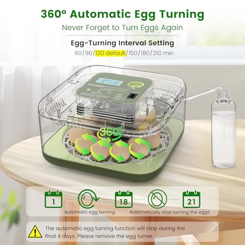 12 Egg Incubator with Automatic Turning, Auto Water Refill & Temp/Humidity Control, Plus Hatching Guide, Digital Hatcher for Chicken, Duck, Quail, Pigeon Eggs & More - color: Green, size: 12 Egg
