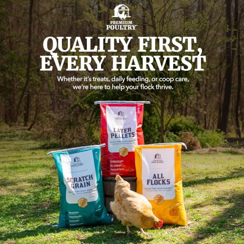 Chicken Layer Feed Pellets, 16% Protein, 40lb, Made in USA | Supports Consistent Egg Production, Strong Eggshells, Calcium Absorption & Vitamin D3, Ideal for Backyard Flocks - size: 40lb (Pack of 1), style: Layer Pellets
