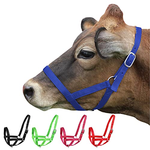 Derby Originals Adjustable Nylon Livestock Cattle Halters - color: Royal Blue, size: Large (800-1400lbs)