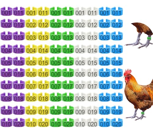 100Pcs 16mm Chicken Leg Rings 5 Colors Numbered Chicken Identification Leg Bands, Poultry Ankle Bands Foot Rings for Ducks Bantam Guinea Pigeons Goose Gamefowl - Medium - size: 16mm - 5 Colors