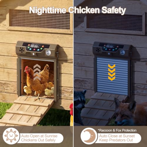 Automatic Chicken Coop Door Solar Powered, Roll-Up Chicken Door with Timer & Light Sensor, Anti-Pinch Safety Auto Chicken Door with Remote Control, Weatherproof for Outdoor