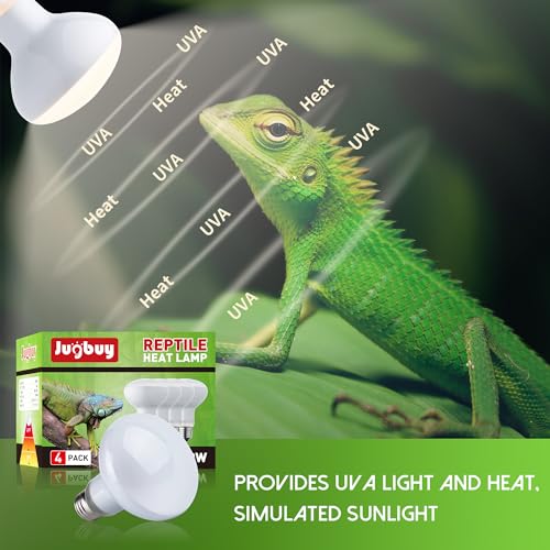 Reptile Heat Light Bulb, 100 Watt UVA Basking Spot Lamp Bulbs, Daylight Heating Spotlight for Turtle, Bearded Dragon, Tank, Lizard, Snake, Leopard Gecko, Chameleon, Ball Python - 4 Pack - size: 4 Pack