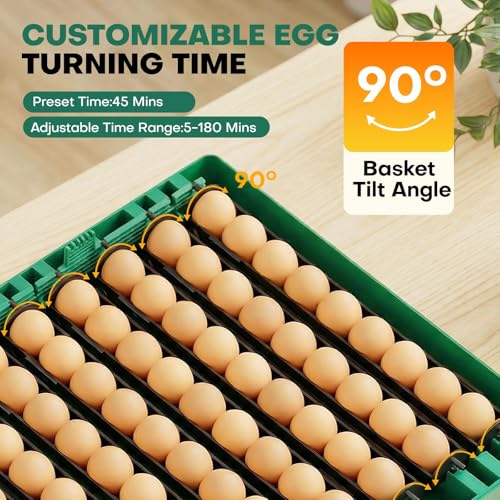 72 Eggs Hatching Incubator for Chicken/Duck/Quail | Automatic Egg Turner, Humidity Control, Digital Temp, 360° Clear View, Ideal for Lab School Farm