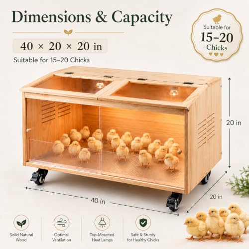 Wooden Chicken Brooder, Pine Wood Chick Brooder for Chicks with Thermostat with Heat Lamps, Thermostat & Locking Casters, Indoor Chick Brooder Box for Quail，Hamster and Small Animal (40x20x20 in)