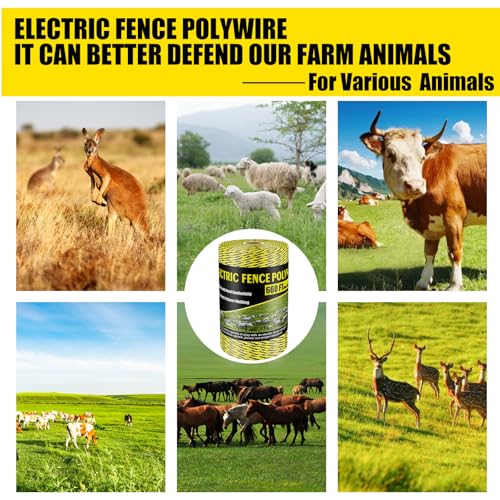 Upgrade Electric Fence Polywire 660FT,200 Meters, 6 Stainless Steel Strands for Reliable Conductivity, Portable Electric Fencing, UV Resistant, Rust Resistant, Highly Conductive, Easy to Install - size: 660 Feet