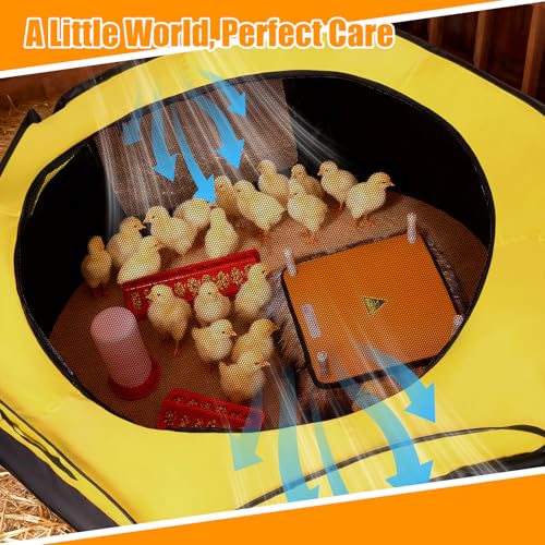 14 in 1 Pop Up Brooder Box for Chicks Starter Kit, Foldable Brooder Box, Complete Baby Chick Supplies with Heating Plate, Custom Feathers, Grass Mat, Feeder & Waterer for Baby Chicks, Ducks, Quail