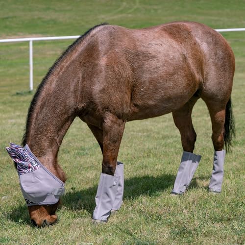 Cashel Crusader Leg Guards (Set of 4) - color: Grey