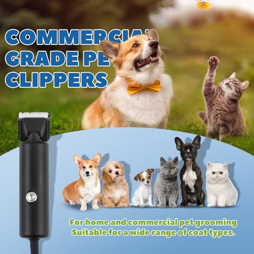 300W Pet Grooming Clippers with 2000-6600rpm Stepless Speed Control | Heavy-Duty Commercial Grade with 13ft Power Cord, Low Noise< 50db, with Extra Blade & 2 Limit Combs of 4 Sizes