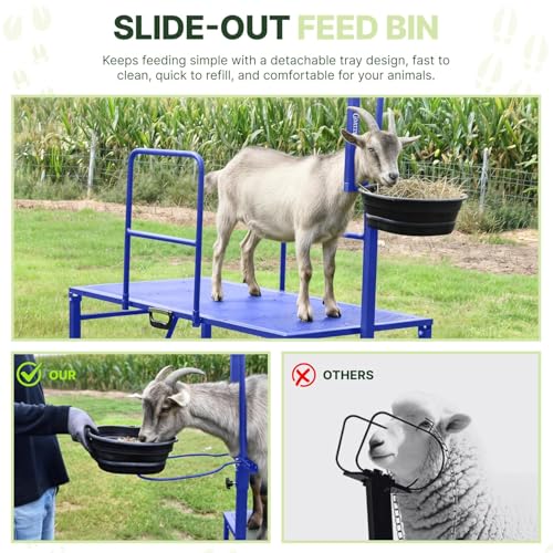Goat Stand with Adjustable Headpiece & Legs, Goat Milking Stand with Feeder, Rails & Wheels, Stanchion for Grooming & Hoof Trimming, Sheep Stand for Shearing Heavy-Duty Steel Platform, Blue - color: BLUE