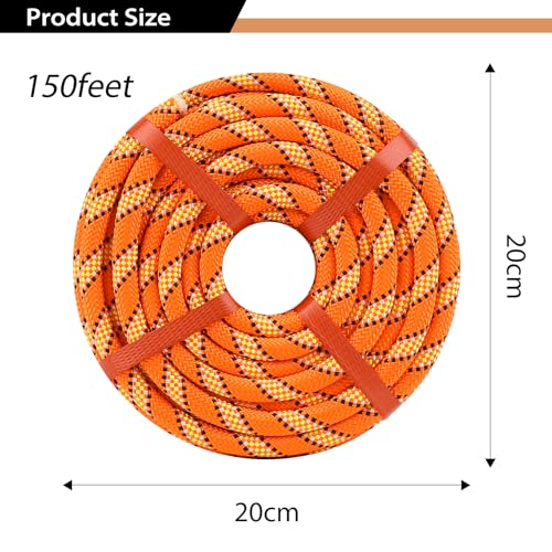 1/2 Inch Arborist Rigging Rope (150 Ft) - Orange Double Braid Polyester Tree Rope & Bull Rope, High Visibility Safety Line - 48 Strand High Tensile Strength - size: 1/2 In x 150 Ft, style: Orange