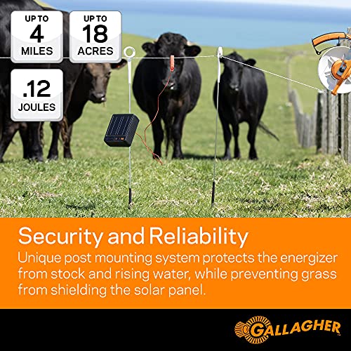 Gallagher S12 Solar Fence Charger + Digital Volt Meter | 0.12 Joule Electric Fencer for 0.6 Miles | Built-in Earthing & Voltage Tester for Quick Fence Setup and Easy Fault Detection