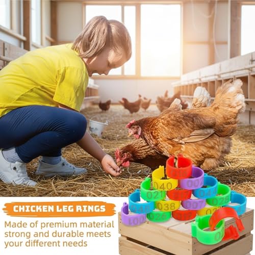 Chicken Leg Bands with 5 Colors Numbered Chicken Rings Identification Band Chick Tags for Legs Poultry Foot Rings for Poultry Identification,Leg Bands for Chickens,100 Pcs 16mm