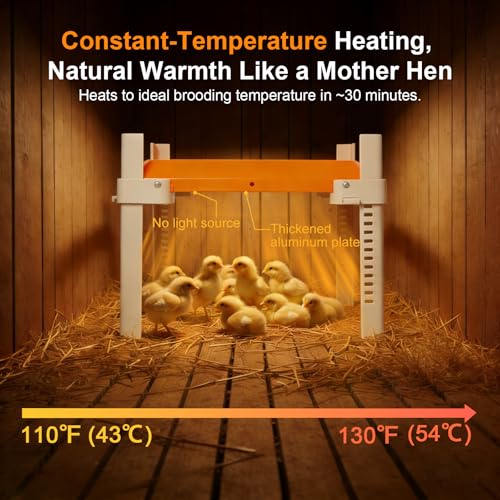 Chicken Coop Heater, Briidea Chick Brooder Heating Plate with 110–130℉ Constant Temperature for Chick Safety, Adjustable Height & Angle, Mother-Hen-Like Comfort, Indoor & Outdoor Use for 15 Chicks - color: Right-angle support