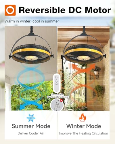 addlon 20 Inch IP65 Outdoor Ceiling Fan with Light, Remote & APP Control | IP65 waterproof, 3CCT dimmable light, 360-degree tilt, 6 speeds, wall-mount hook fan for patios, pergolas, porches, canopies - color: Ceiling & Wall Mount