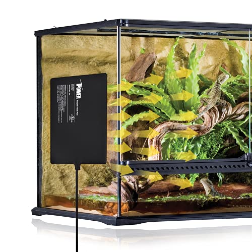 iPower 8X12 Inch Reptile Heat Pad Under Tank Heater Terrarium Warmer Heating Mat and Digital Thermostat Controller for Turtles Lizards Frogs and Other Small Animals - size: 8 X 12 Inch, style: Pad + Thermostat