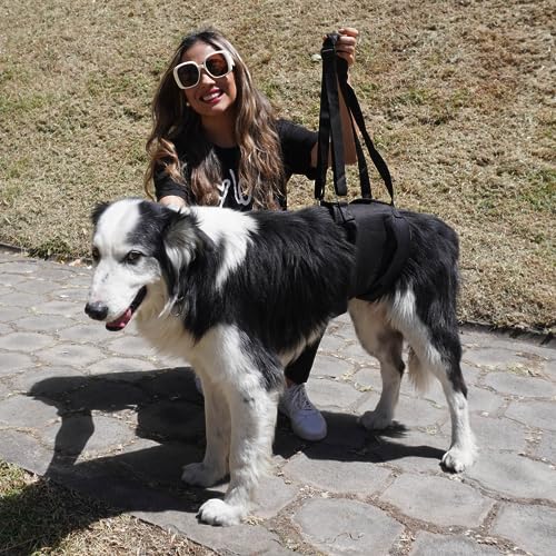 AGON Canine Dog Sling Carrier Support Back Legs Hip Knee Hock Joint Harness to Help Lift Dogs Rear Aid and Old K9 Cruciate (X-Large, Black) - size: X-Large