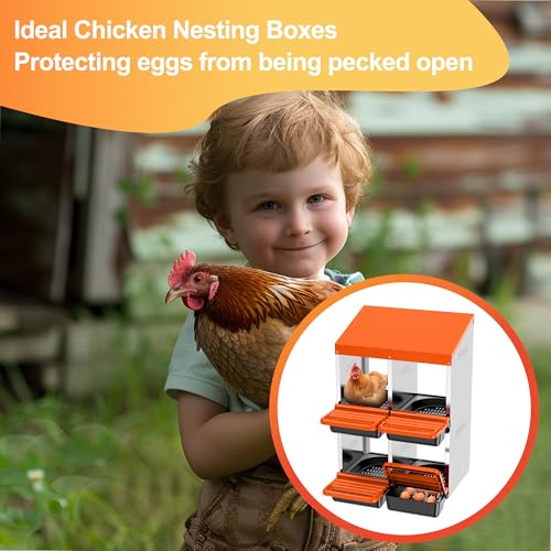Chicken Nesting Boxes, Roll Away Nest Box for Egg Collector, 4 Holes Orange | Metal Nesting Box for Laying Eggs with Lid Cover to Protect Eggs, Easy Wipe, Slide Out for Quick Bedding Change and Rinse - size: 4 Holes