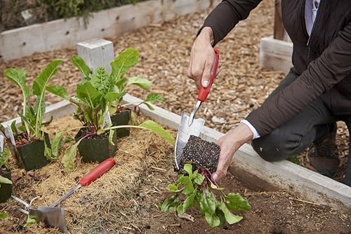 Corona Stainless Steel ComfortGEL Transplanter, red - size: red, style: Transplanter