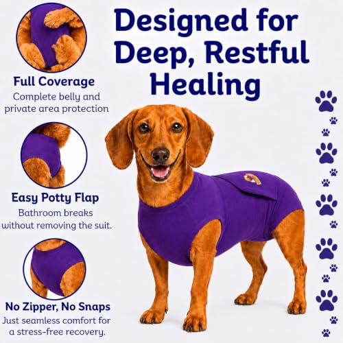 Surgi Snuggly Dog Surgery Recovery Suit, Cone Alternative, Spay/Neuter SL | Dog Recovery Suit for Dogs — Veterinarian-Invented Surgical Suit & Recovery Onesie with Easy Bathroom Access After Surgery - color: Perfect Plum, size: Small Long (L-12"-15" | G-1