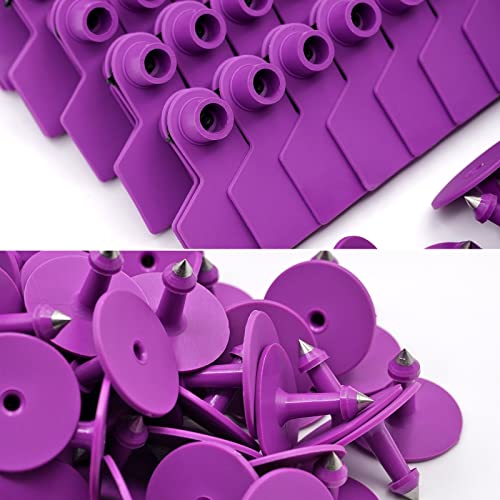 Blank Ear Tags 100 Pieces Livestock Identification Lable Blank Livestock Ear Tags for Cattle Cow Pig Goat Sheep Dog (Purple) - color: Purple