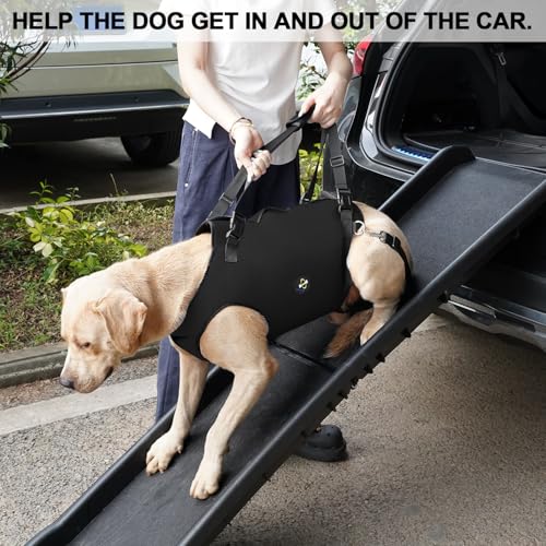Coodeo Dog Lift Harness, Pet Support & Rehabilitation Sling Lift Adjustable Padded Breathable Straps for Old, Disabled, Joint Injuries, Arthritis, Loss of Stability Dogs Walk (Black, M) - color: Black, size: Medium