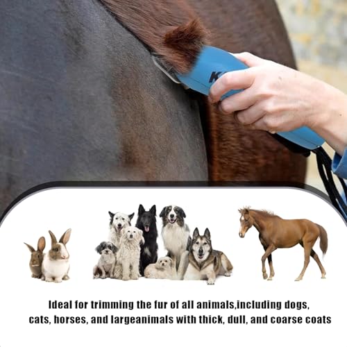 Wide Blades for Dog Grooming, # 5FW Blades Cutting Length 1/4"(6.3mm) | Dog Clipper Blades Compatible with Andis, Oster A5, Wahl km10, Stainless Steel, For Dog, Cat, Horse - style: #5FW(6.3mm)/2PCS