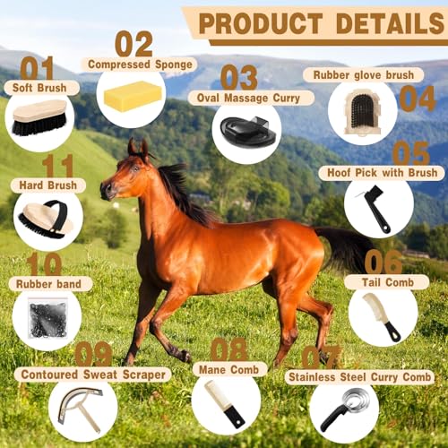 Abbylike 12 Pieces Horse Grooming Kit Racing Festival Tack Room Supplies Horse Brush Sets Equine Care Cleaning Kit Shedding Grooming Massaging Tools(Black) - color: Black
