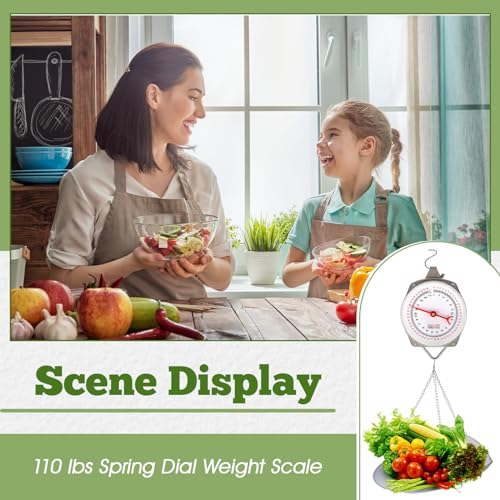 Tellegloww 1 Set 110 lbs Large Display Hanging Scale with Scale Scoop Kitchen Dial Weight Scale Silver Industrial Spring Scales for Shopping Traveling Food Produce Weighing