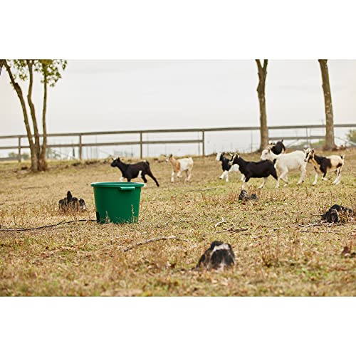 Farm Innovators Heated Water Bucket, 200W Heating Power - 16 Gallon Plastic Bucket with Replaceable Heating Element for Livestock Watering & Feeding | Thermostatically controlled to operate only when necessary, large 16-gallon capacity, anti-chew cord - c