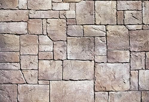Kate Photography Floor Mat Vintage Stone Wall Rubber Backdrop 8x5ft | Brick Wall Rubber Floor Newborn Photography Props for Professional Photo Studio - color: Brick, size: 8x5ft