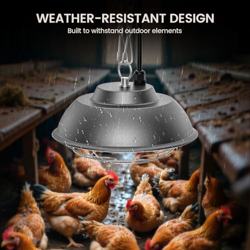 350 Watt Heat Lamp for Chickens - Chtoocy Chicken Coop Heater with Carbon Fiber Bulb, 5.2FT Thickened Power Cord & Chicken Heat Lamp with 2 Temperature Adjustable (175/350W) for Chicks, Ducks and Pets