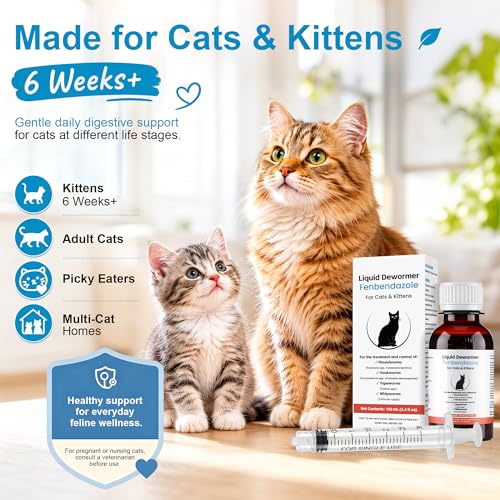 100ml Oral Liquid for Cats – with 3ml Needle-Free Dosing Syringe – Easy to Administer – Cat Health Supplies