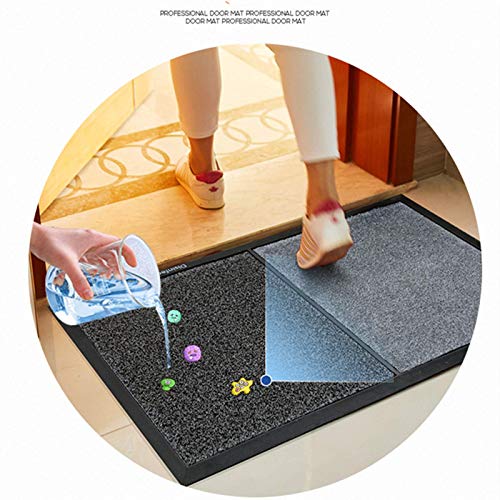 HAPYLY Disinfection Floor Pad Mat Sanitizing Floor Mat Multifunction Entrance Mat Footbath Mat RugShoe Mat Home Hotel (Gray) - color: Grey