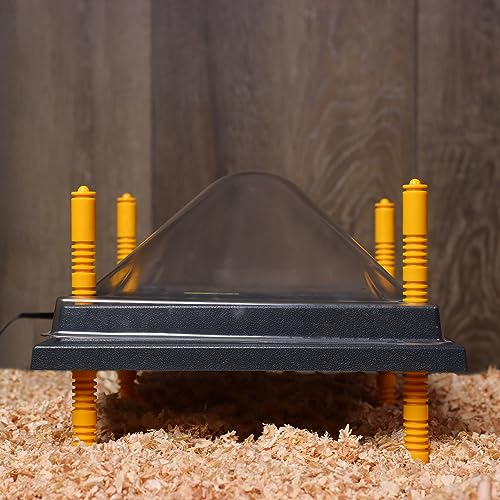 Rural365 Chick Heating Plate and Brooder Plate Cover - 10 Inch Brooder Heat Plate for Chicks with Adjustable Height
