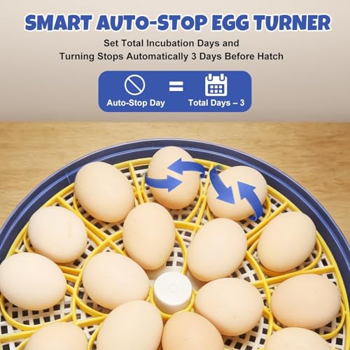 Nest III - 18 Egg Incubator for Hobbyists, Dual-Size Egg Trays, Multi-Level Adaptive Humidity & Temp Control, Custom Incubation Days, Auto Turning & Auto Stop, Integrated Digital Display, Candler - size: 18 Egg [Blue]