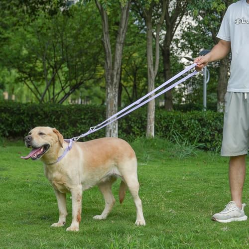 Waterproof Dog Leash with Poop Bag Holder, 5FT/6FT Adjustable Length with 2 Swivel Hooks, Odor-Free & Easy-Clean Dog Lead for Large Medium Small Dogs - color: Purple, size: 6FT - 3/4inch Width