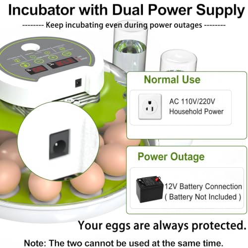 Egg Incubators for Hatching Eggs, 8/30 Chicken Egg Incubator with Automatic Egg Turning, Temperature Control & Humidity Display, Egg Candler, Home Use for Chicken, Duck, Quail - 2 Egg Trays Green - color: Green